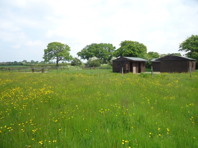 Su žemės ūkio ministru – apie sausrą, melioraciją, išmokas ir ūkininkavimo perspektyvas