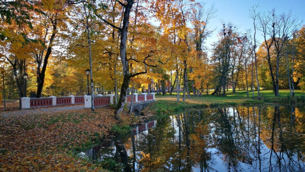 Š½uvims gelbėti parko tvenkiniuose sumontuotos orapūtės