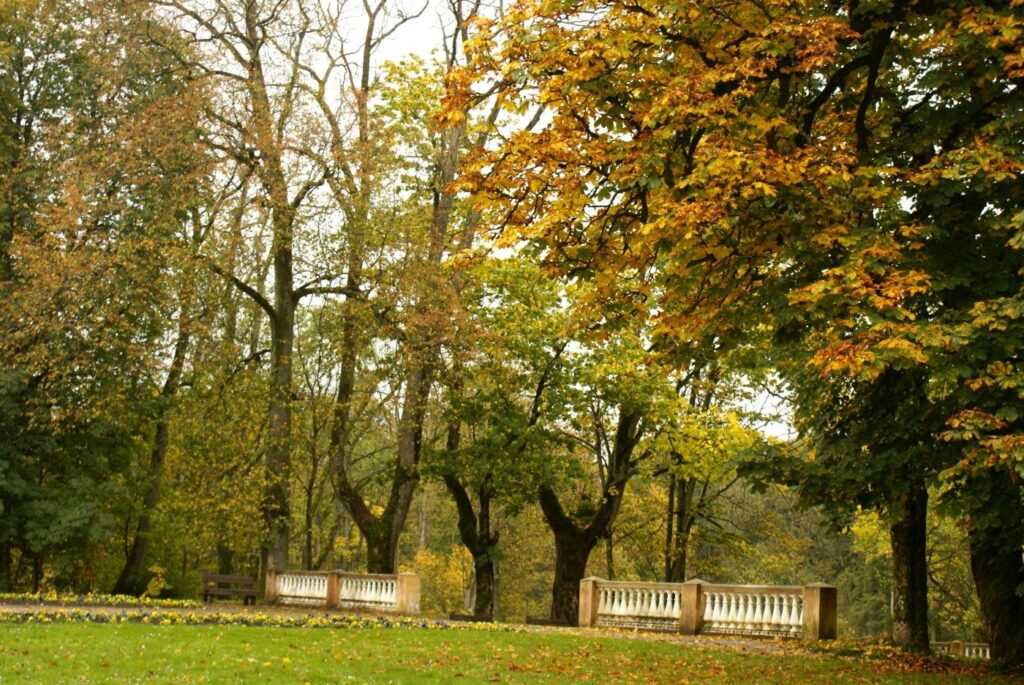 Plungėje – tarptautinė konferencija apie istorinius parkus, jų priežiūrą ir atnaujinimą