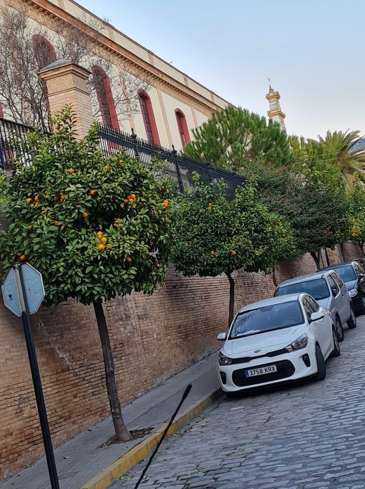 Plungės „Saulės“ gimnazijos mokytojos Ispanijoje