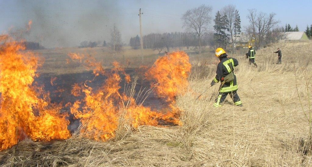 GAISRAS Žolės deginimas