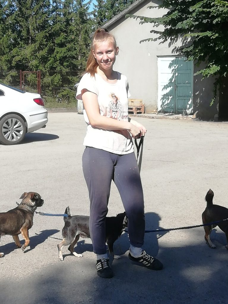Jaunimo užimtumo vasarą ir integracijos į darbo rinką programa 2022