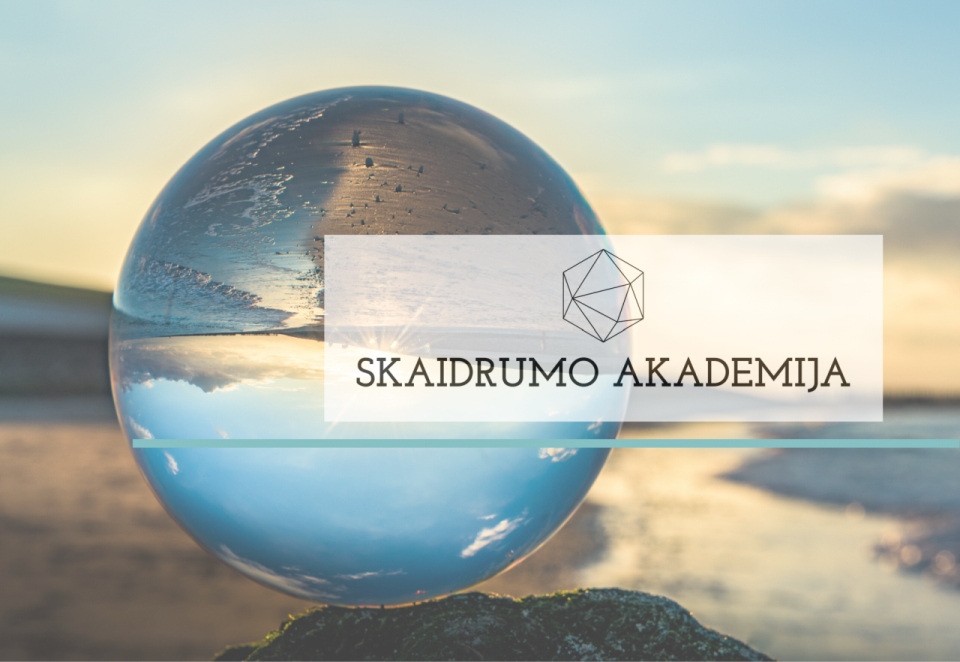 STT Skaidrumo akademija