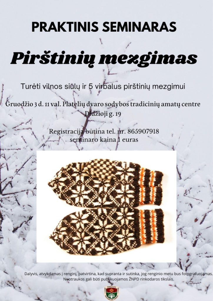 2022-12-03 seminaras Pirštinių mezgimas