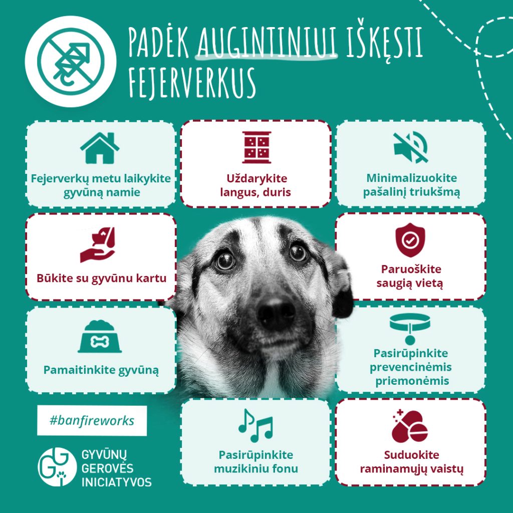 Fejerverkai kenksmingi gyvūnams