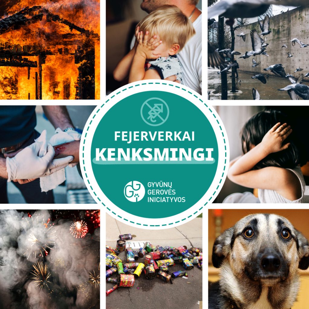 Fejerverkai kenksmingi gyvūnams