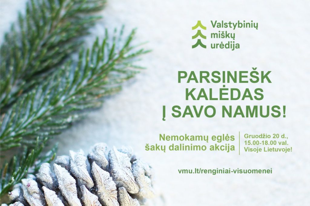 Parsinešk Kalėdas į savo namus 2022-12-20