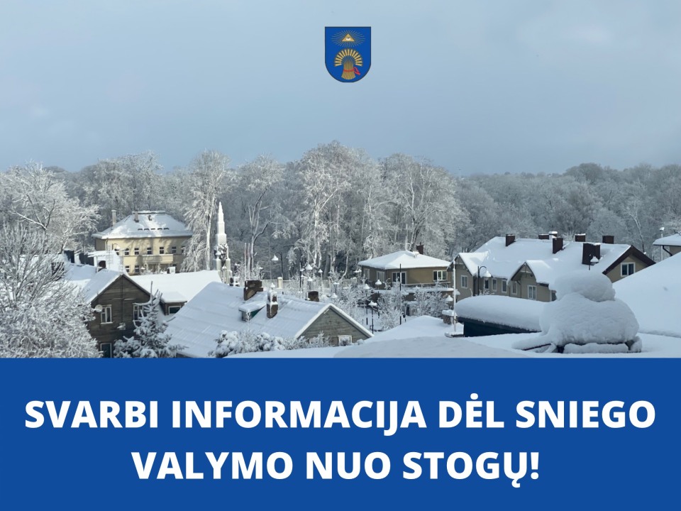 Stogų valymas žiemą