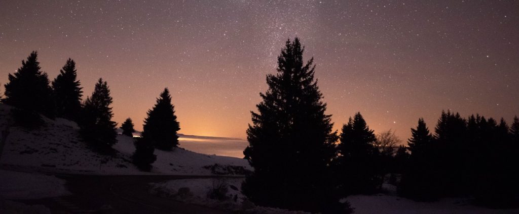 Medžių siluetai žvaigždėtą naktį