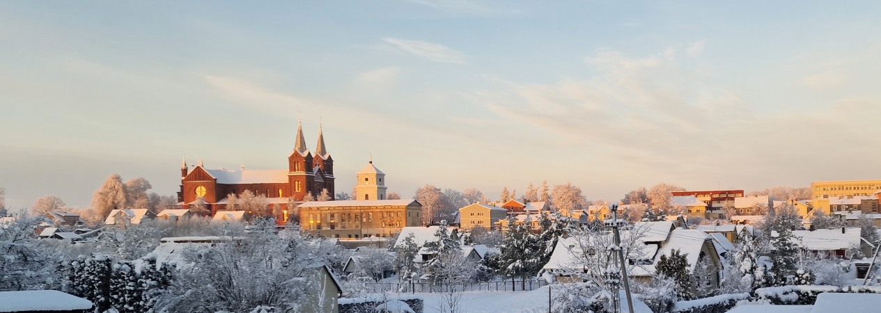 Plungės panorama. Kęstučio Vaitkaus nuotr.