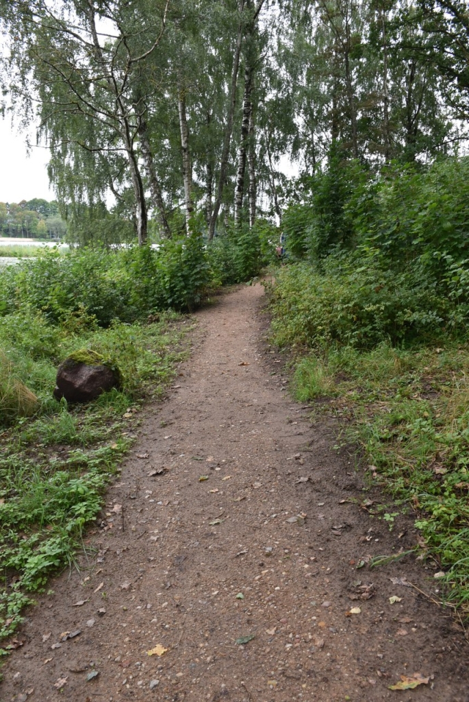 Plungės "Saulės" gimnazijos gamtinis - pažintinis tyrimų takas