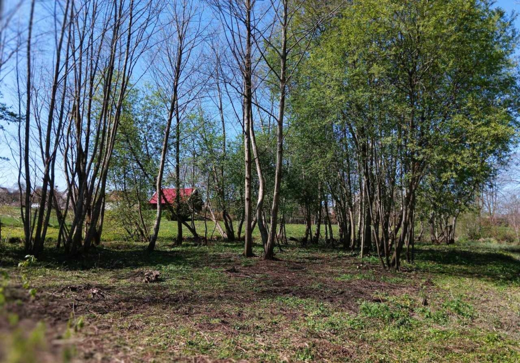 Sutvarkytos Kulių kaimynų parko erdvės