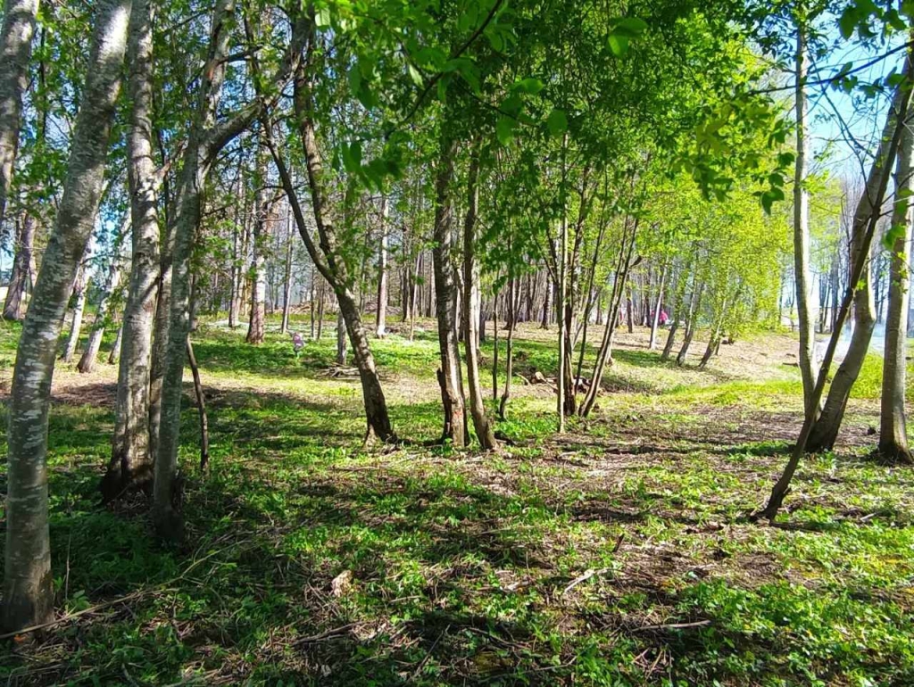 Sutvarkytos Kulių kaimynų parko erdvės