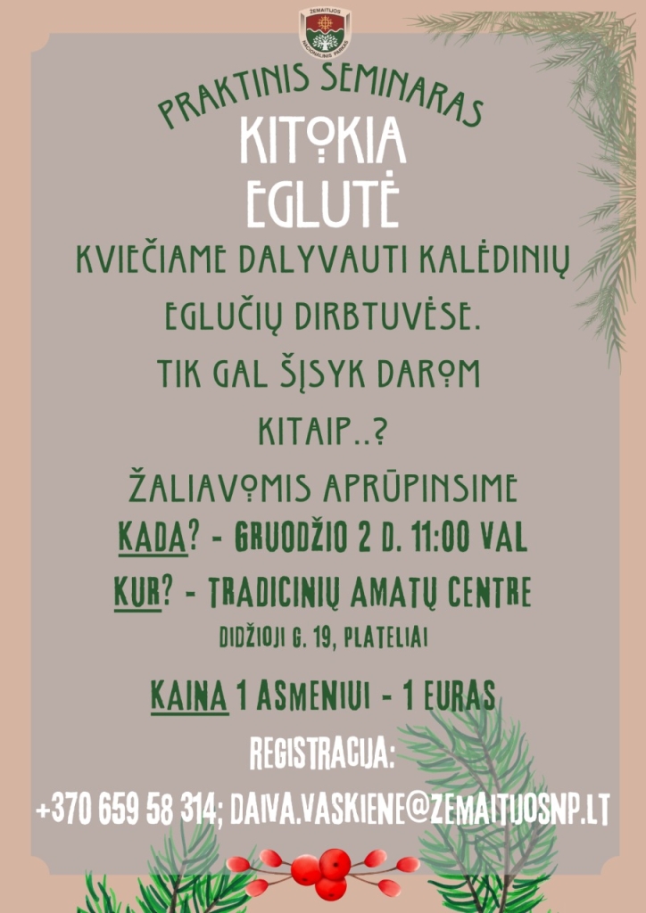 2023-12-02 Praktinis seminaras "Kitokia eglutė"