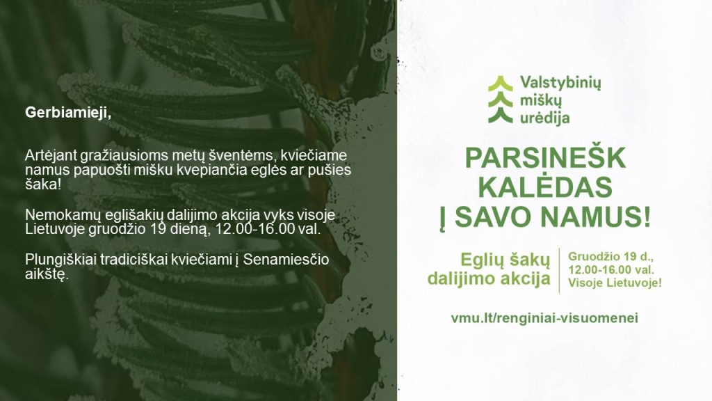 2023-12-19 Akcija "Parsinešk Kalėdas į savo namus" Plungėje Senamiesčio aikštėje