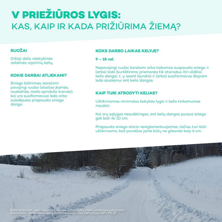 Žiemos atmintinė 5 priežiūros lygis
