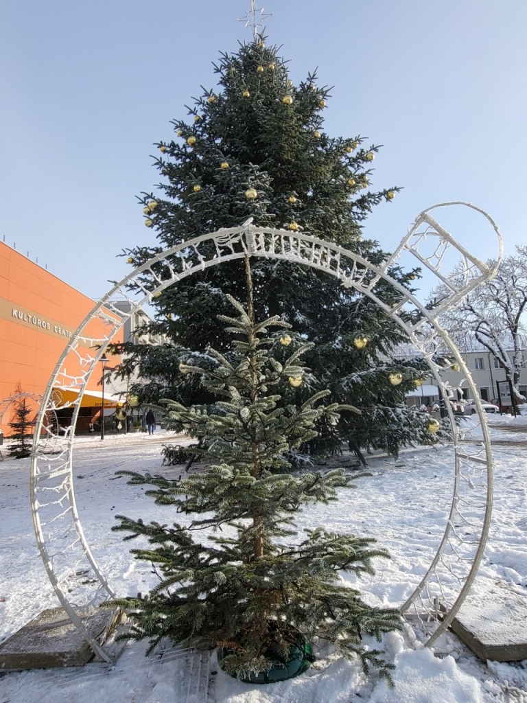 Eglė Senamiesčio aikštėje, 2023-12-01