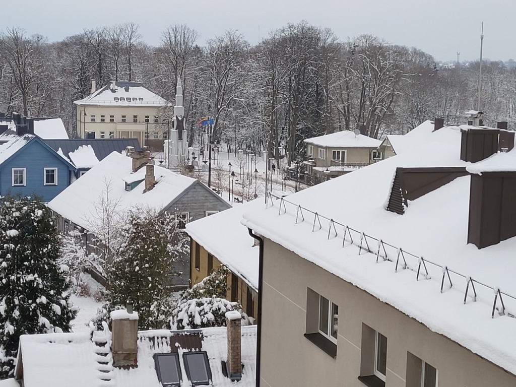 Plungė, Laisvės alėja, apsnigę stogai
