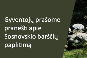 Gyventojų prašome pranešti apie Sosnovskio barščių paplitimą