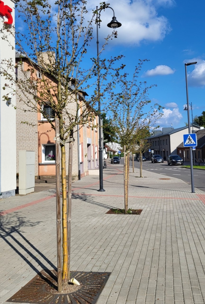 Gudobelės Telšių gatvėje