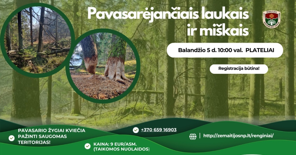 Pavasarėjančiais laukais ir miškais
