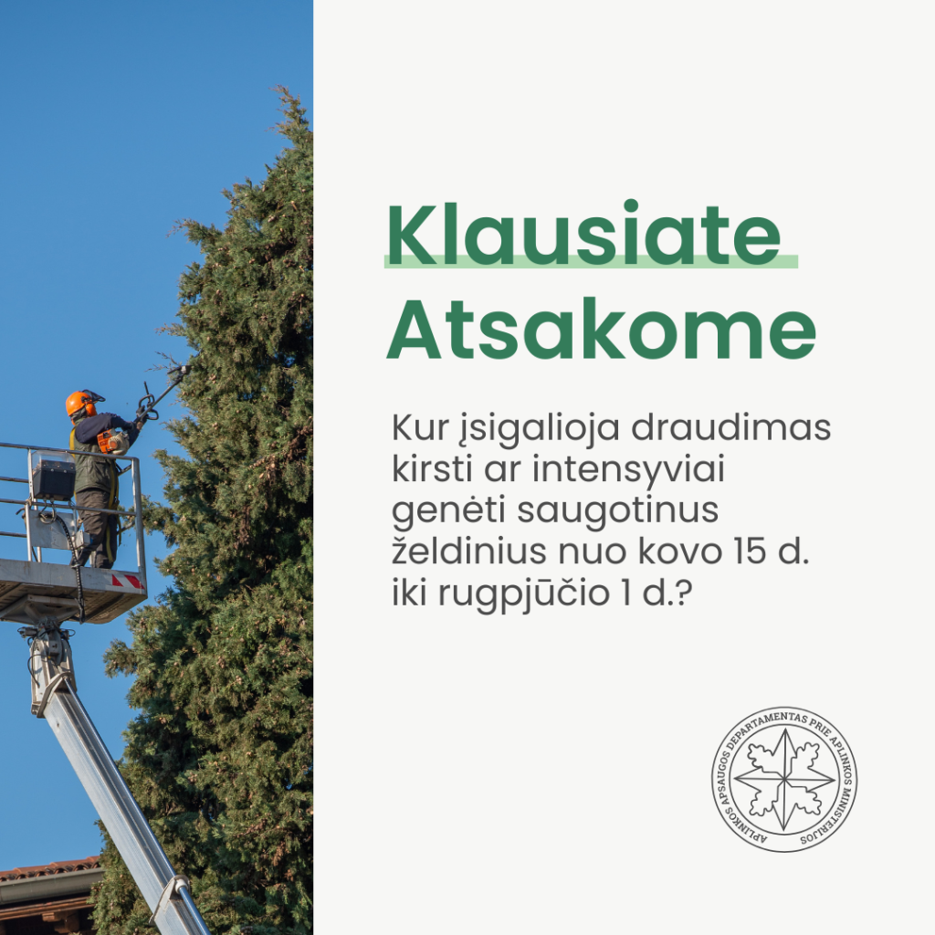 Draudimas kirsti ar intensyviai genėti saugotinus želdinius nuo kovo 15 d. iki rugpjūčio 1 d.