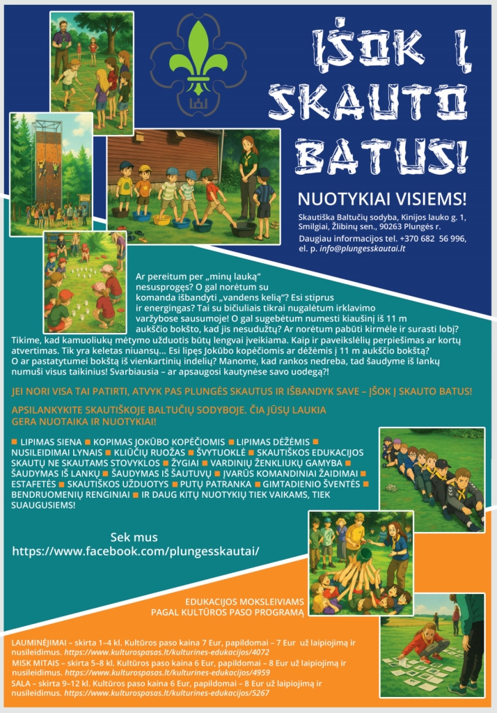 skautiškos veiklos, pristatymas