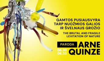 ARNE QUINZE paroda Plungėje: „The Brutal and Fragile Levitation of Nature“ (Gamtos pusiausvyra tarp nuožmios galios ir švelnaus grožio)
