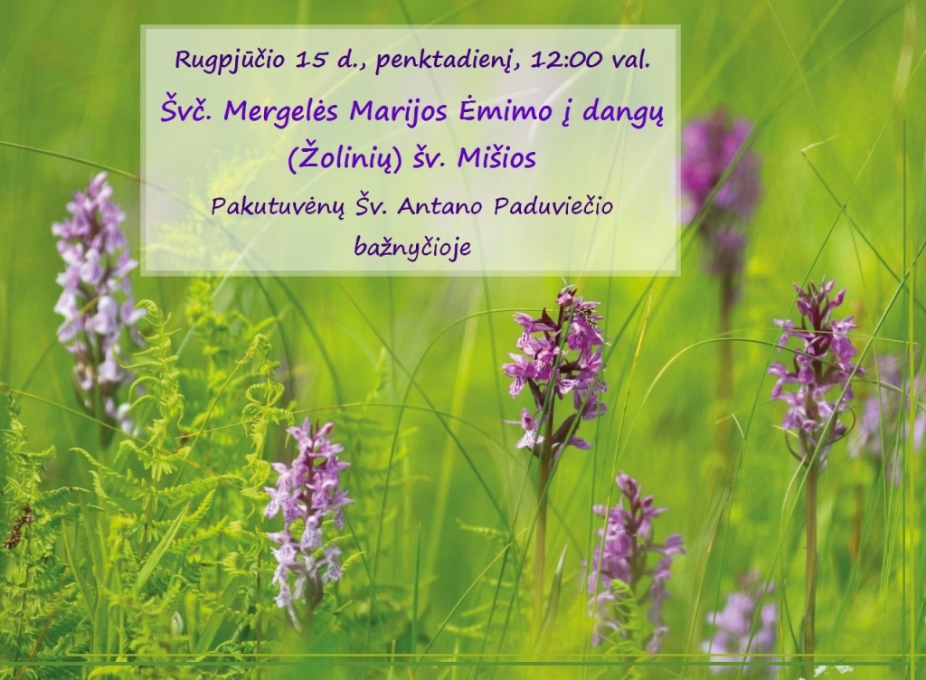 2025-08-15 Švč. Mergelės Marijos ėmimo į dangų iškilmė, Žolinė