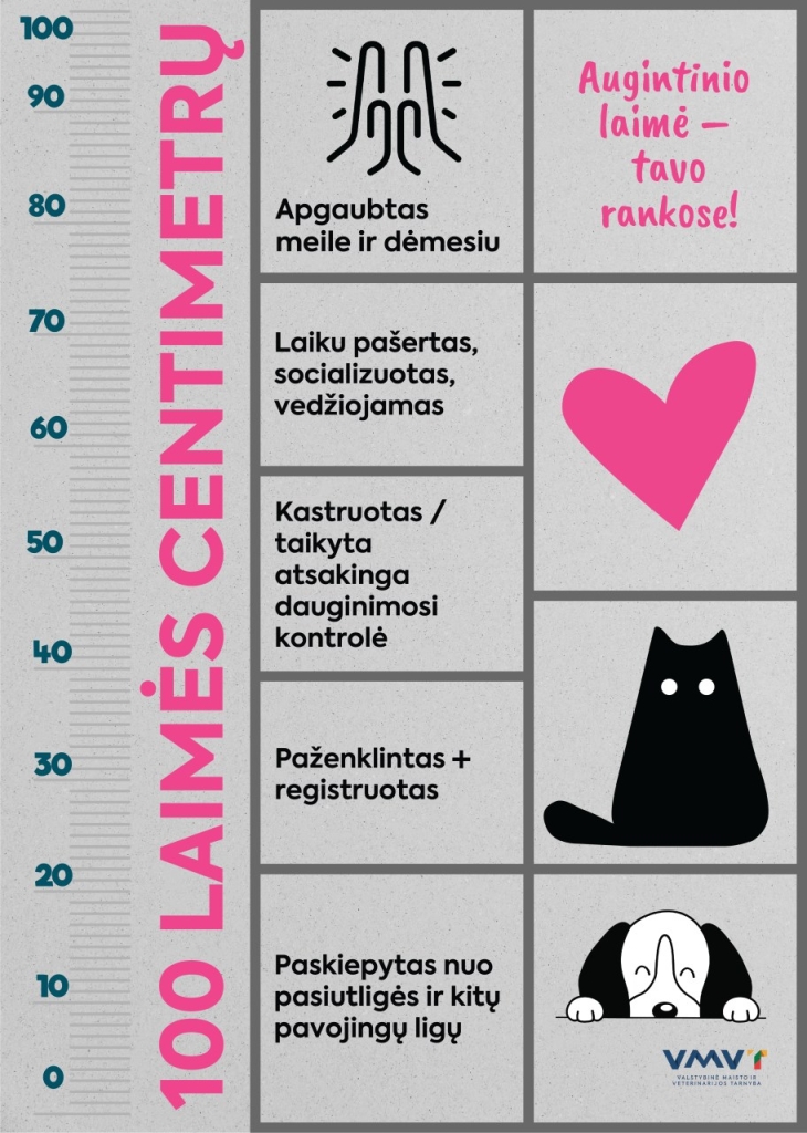 Augintinio laimės liniuotė