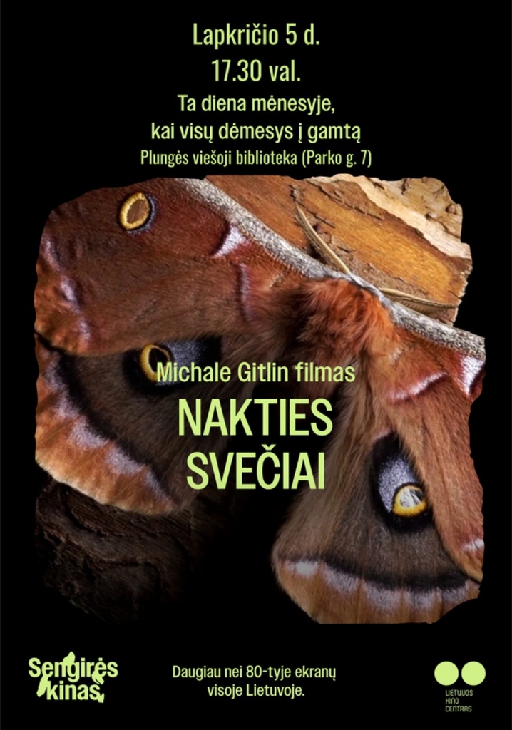 filmas "Nakties svečiai"