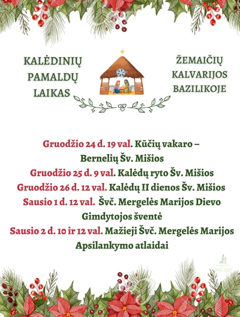 Kalėdų gėlė ir prakartėlė