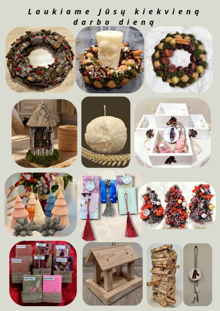 Socialinių dirbtuvių gaminiai