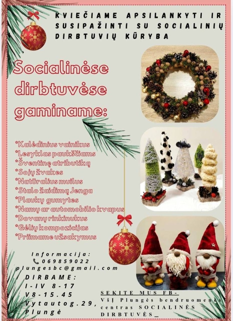 Socialinių dirbtuvių gaminiai