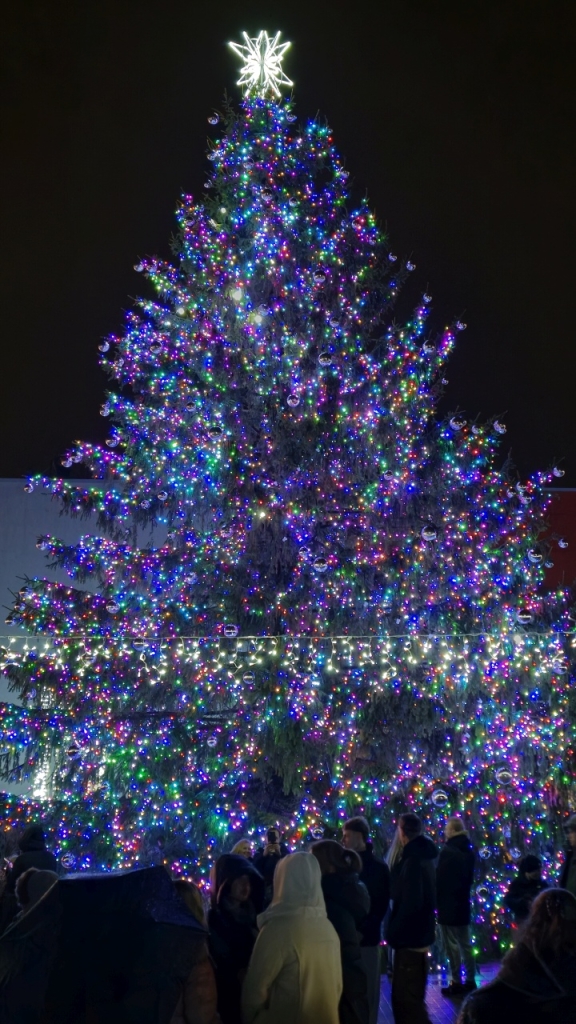 Kalėdų eglė Senamiesčio aikštėje naktį