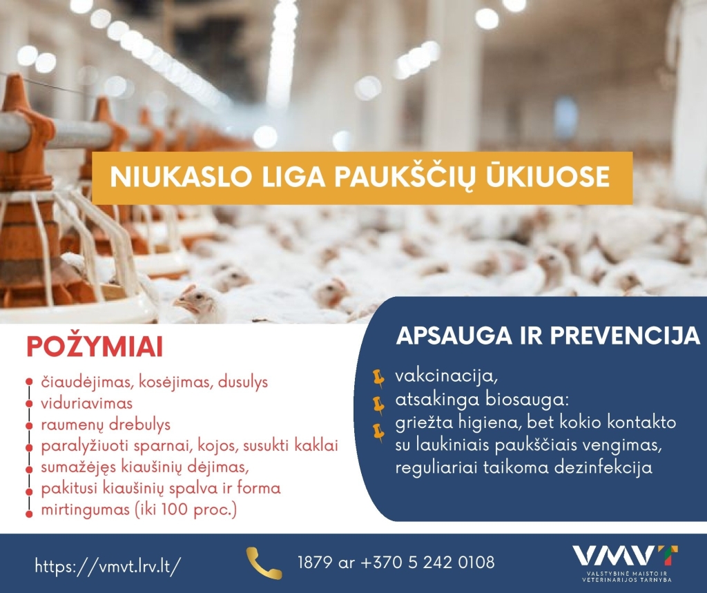 Niukaslo liga paukščių ūkiuose požymiai apsauga ir prevencija