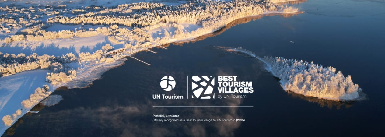 Platelių ežeras žiemą iš paukščio skrydžio