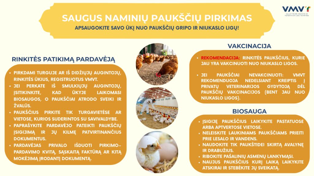 Saugus paukščių pirkimas, patarimai