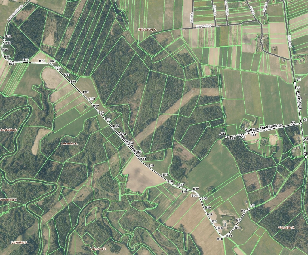 Lekemės kaimo Šatrijos Rinktinės, Lekemės Dvaro ir Plungės gatvės