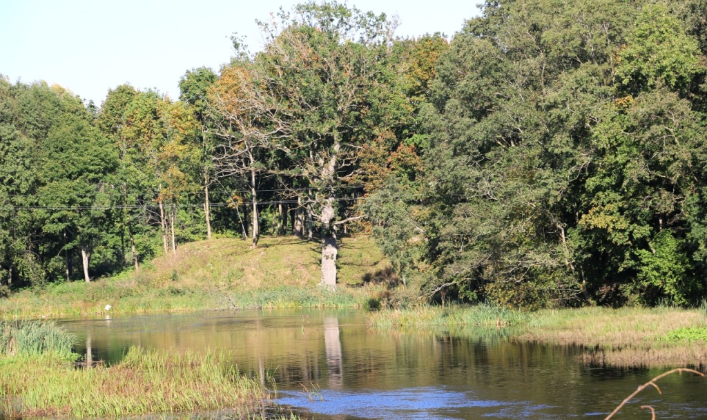 Plungės piliakalnis vasarą